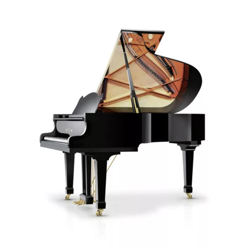 Grand Piano chính hãng tại Vĩnh Phúc