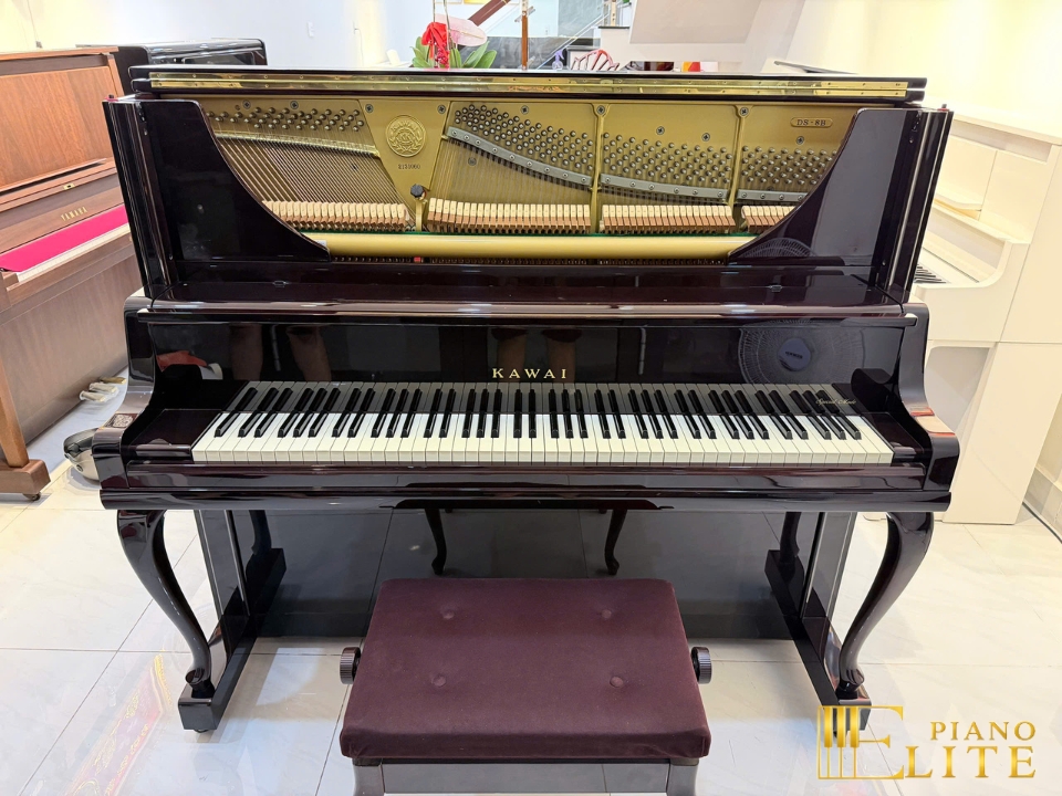 KAWAI DS-80