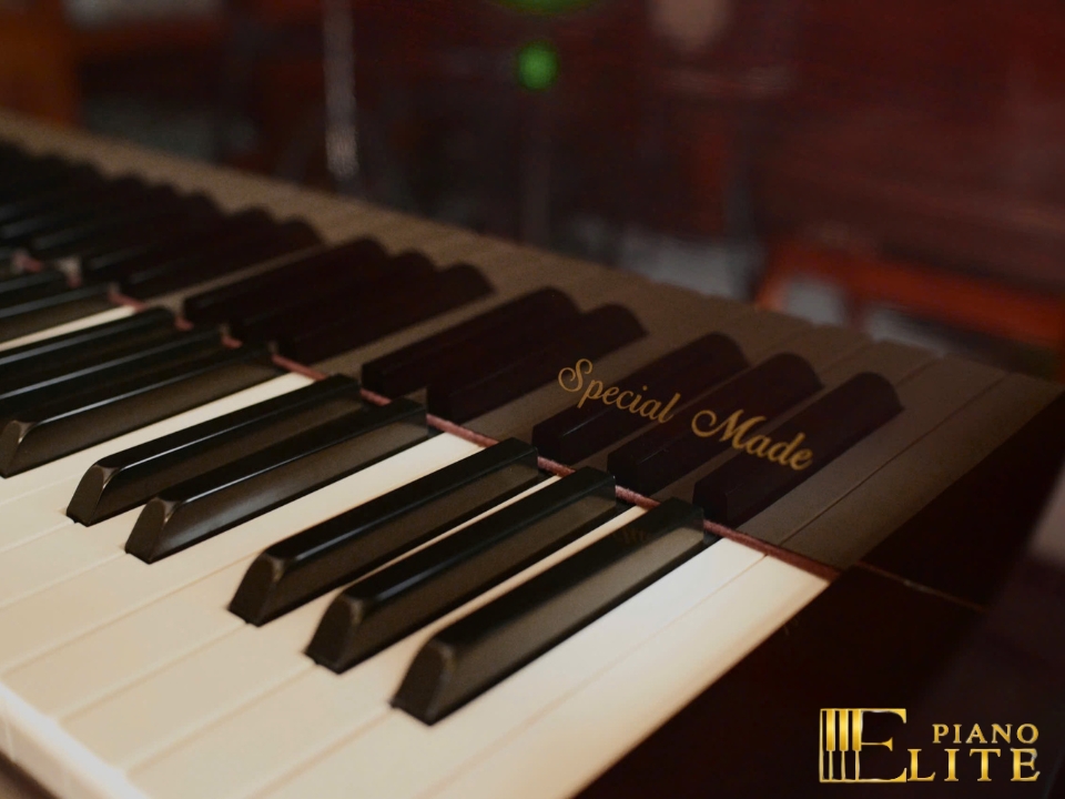 KAWAI DS-80