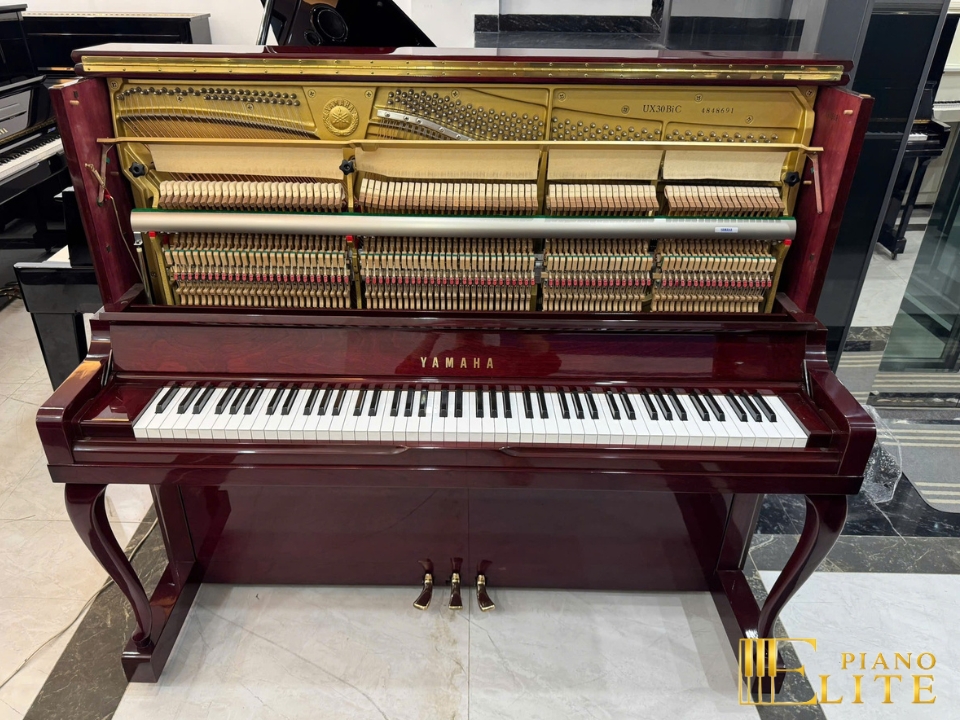 YAMAHA UX300 BiC