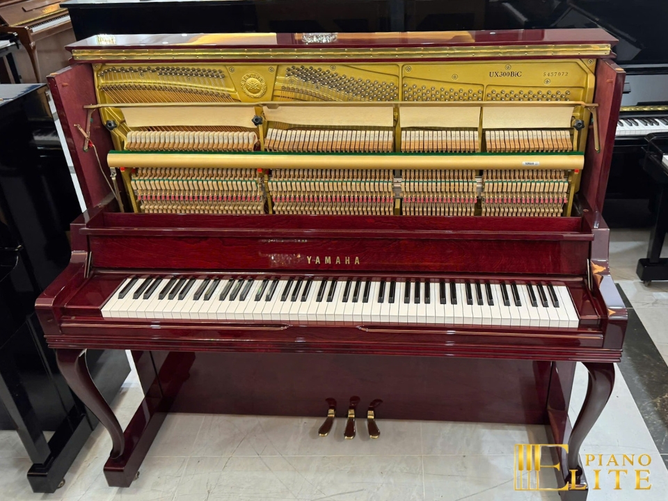 YAMAHA UX300 BiC