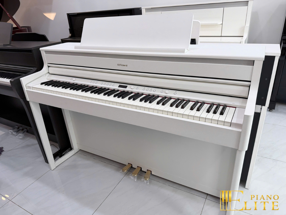 ROLAND HP-704 DR