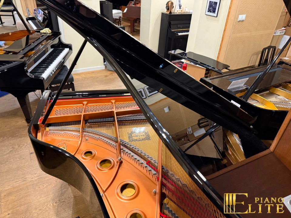YAMAHA C3L