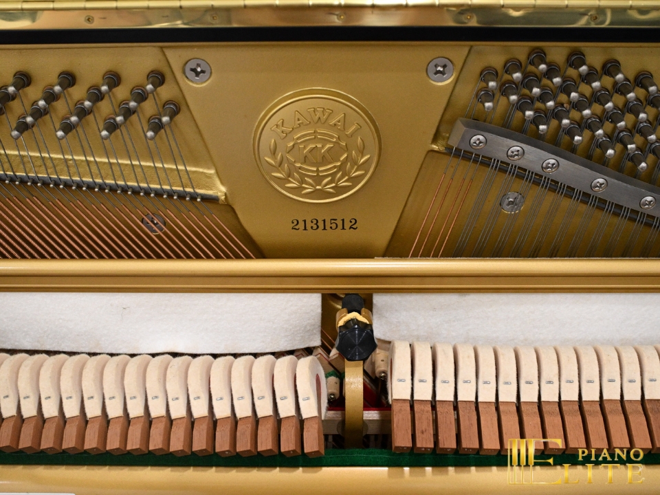 KAWAI DS-80