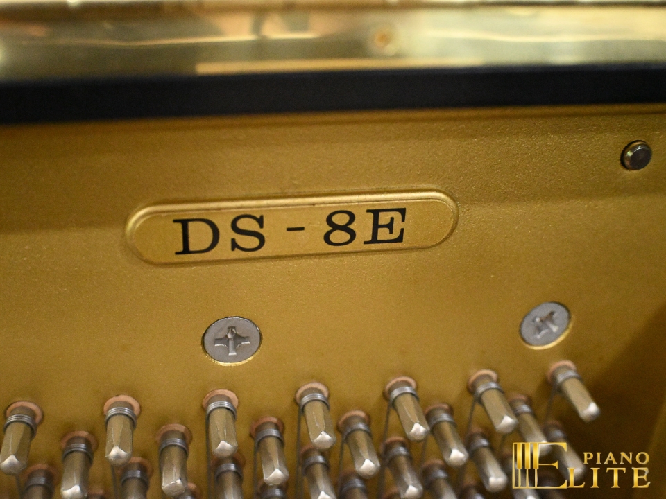 KAWAI DS-80