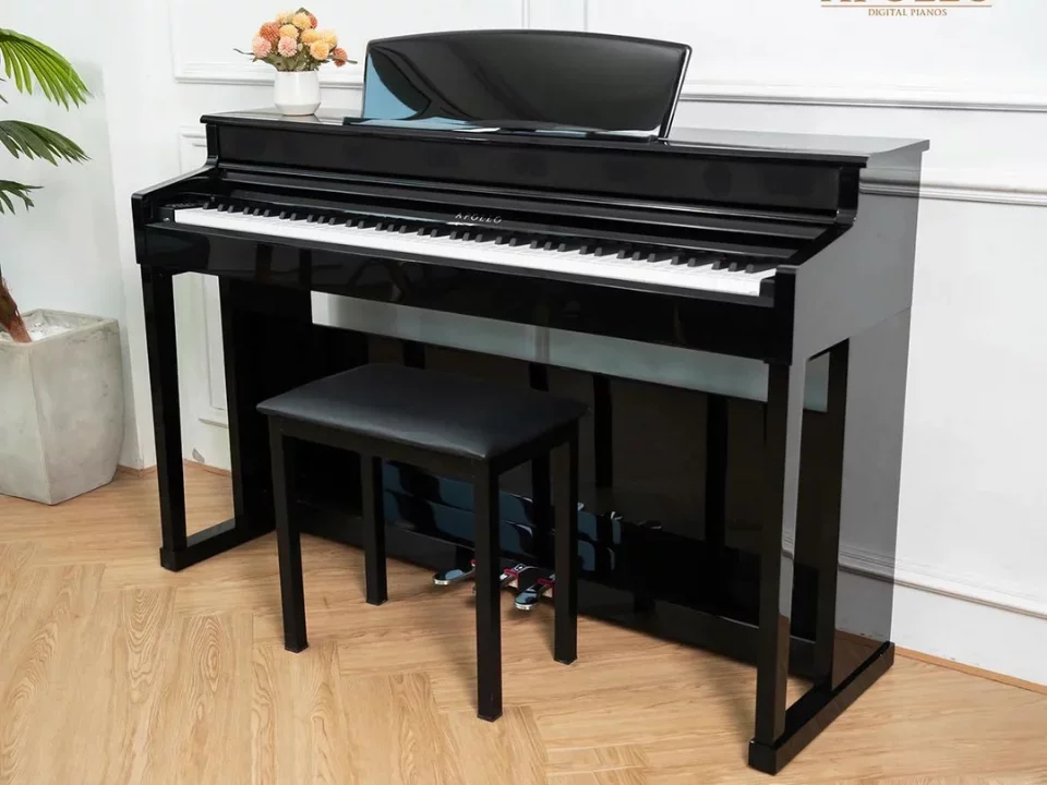 Reviews Apollo KP-88