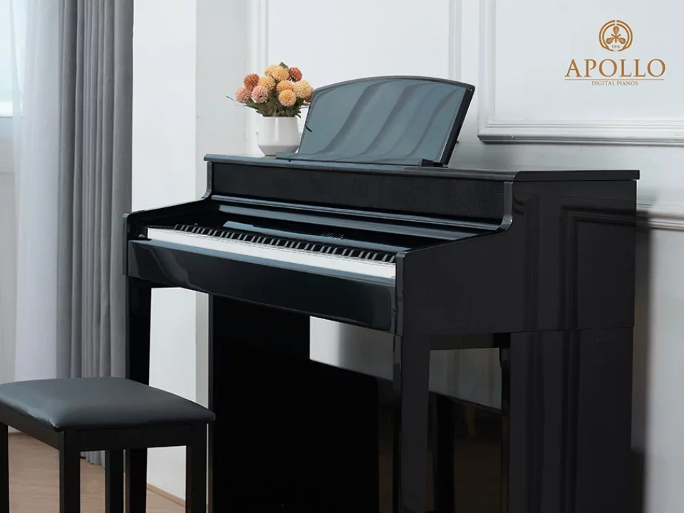 Apollo KP-88 - Chi tiết 1