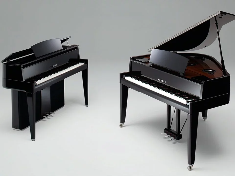 Reviews AVANT GRAND N3