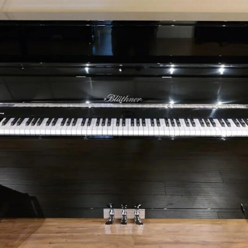 Blüthner Model D - Chi tiết 1