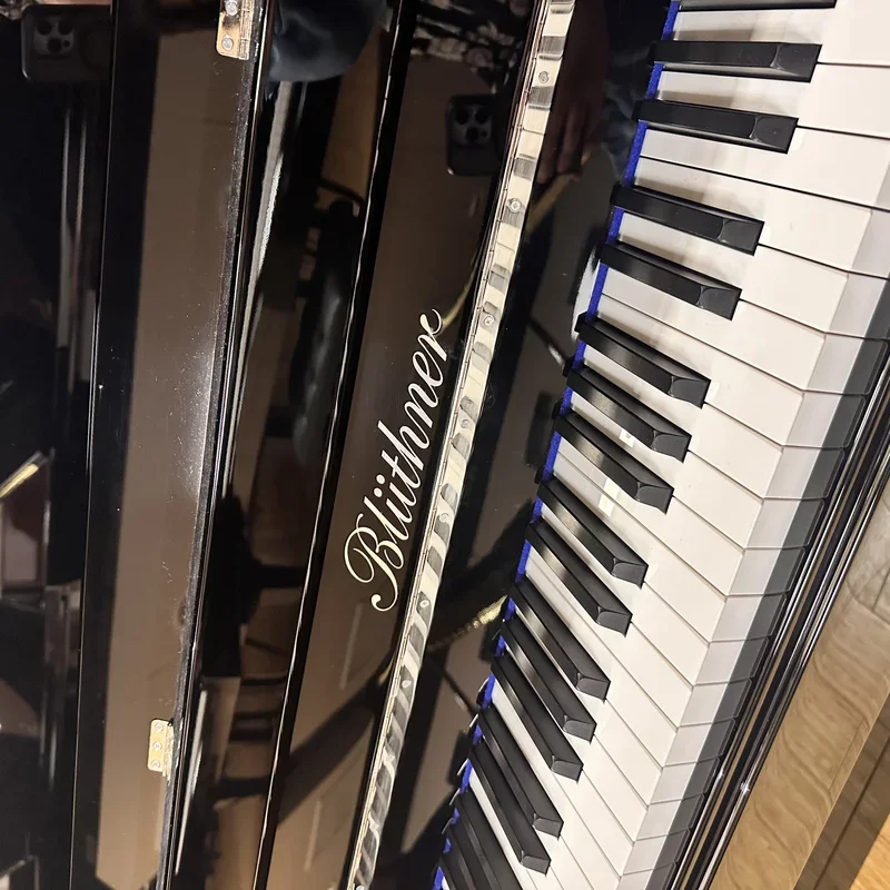 Blüthner Model D - Chi tiết 2