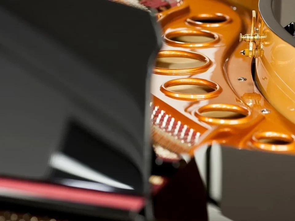 Bösendorfer 180 (Rebuilt) - Chi tiết 2