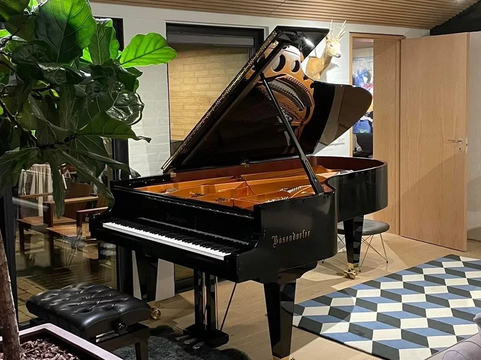Bösendorfer 230VC - Chi tiết 1