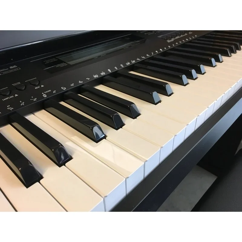 CASIO CDP 235R - Chi tiết 2