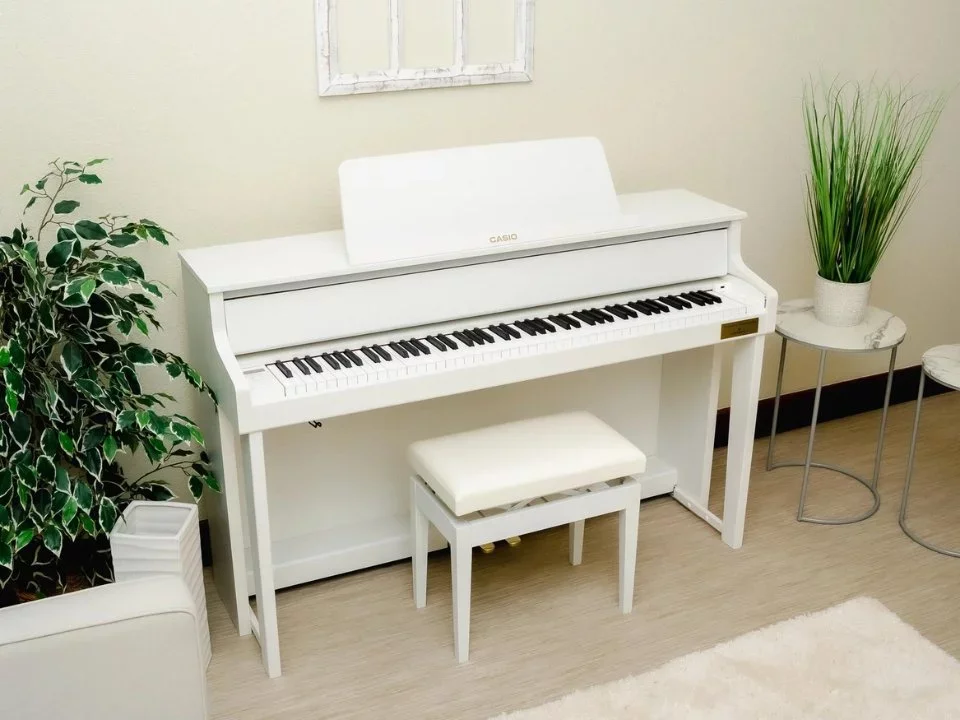 Reviews CASIO GP-310 WE