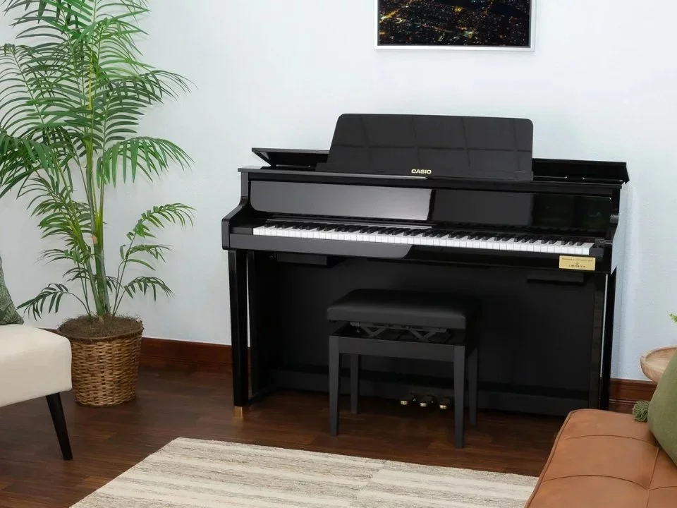 Reviews CASIO GP-510