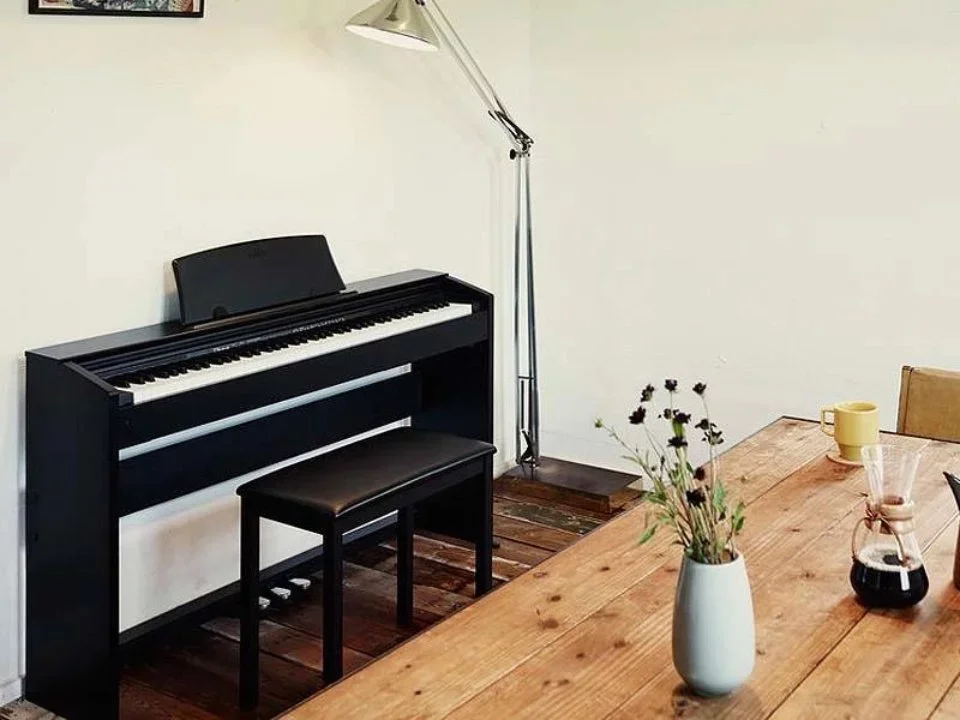 Reviews CASIO PX-770