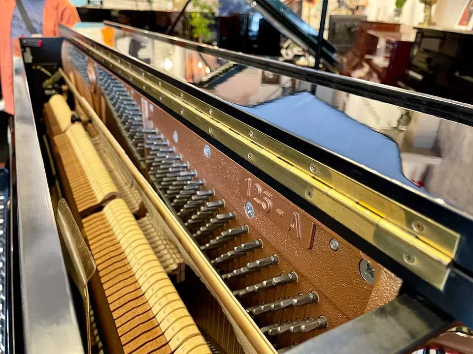 DIAPASON 125A - Chi tiết 2