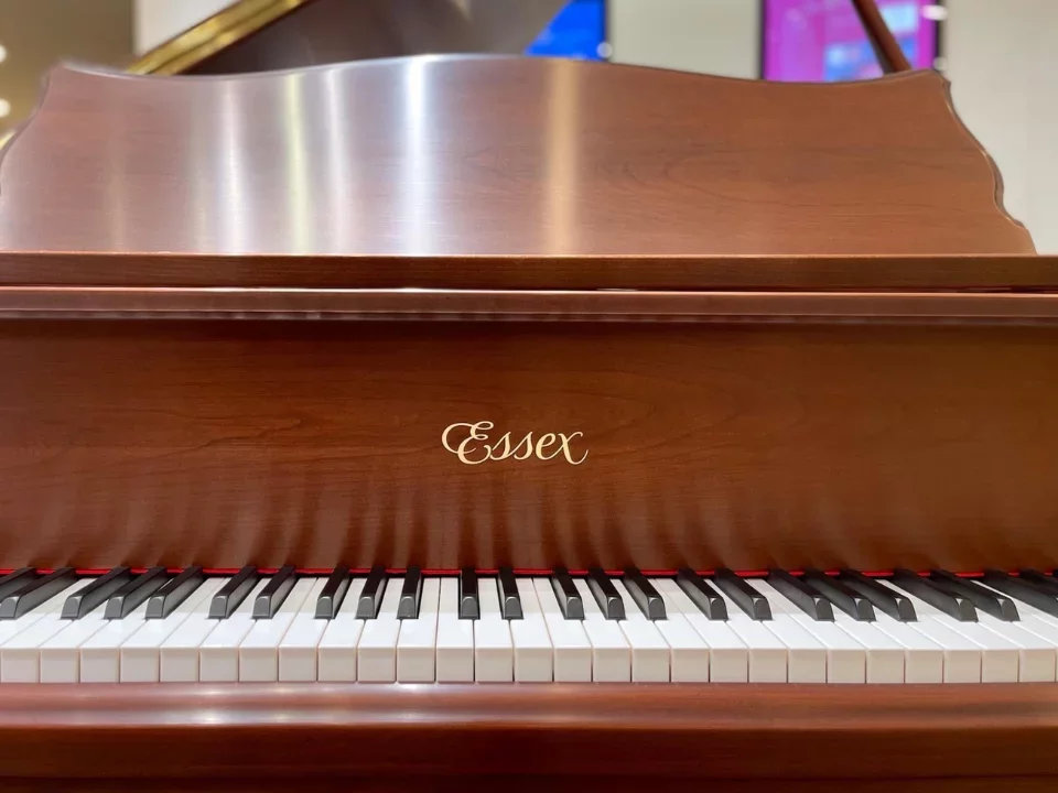 Essex EGP-155F - Chi tiết 1