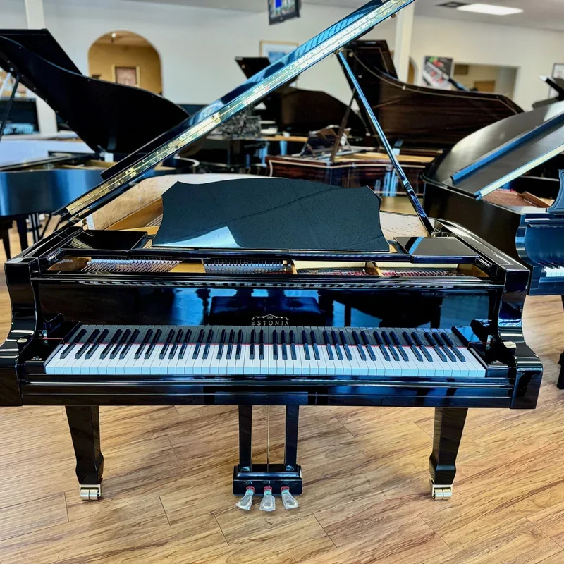 Reviews Estonia L210 Polish Ebony