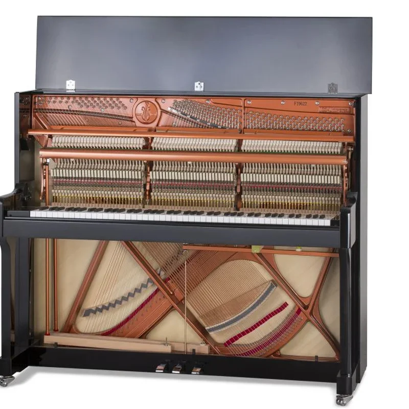 FEURICH 122 Universal (Bordeaux Polished) - Chi tiết 1