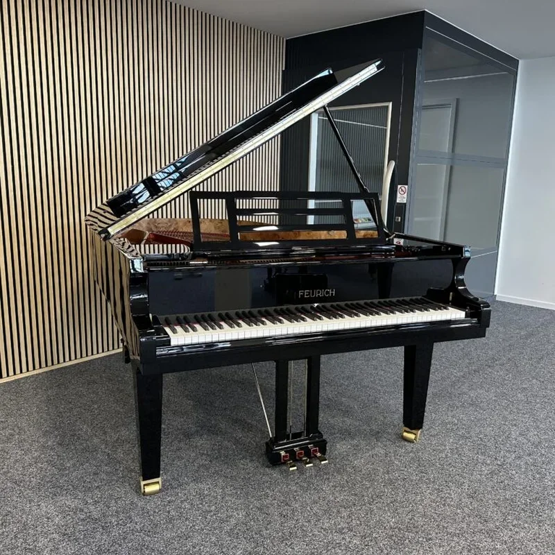 FEURICH 179 & DYNAMIC II (Black Polish & Brass) - Chi tiết 1