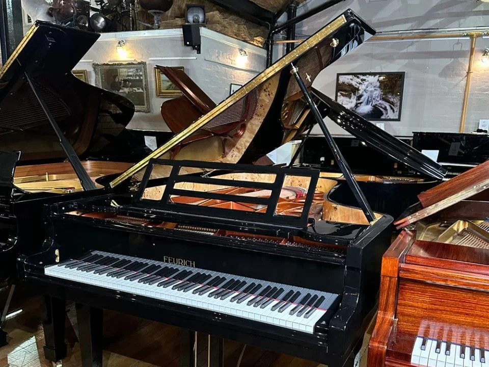 Reviews FEURICH 218 - "CONCERT I" (Brass)