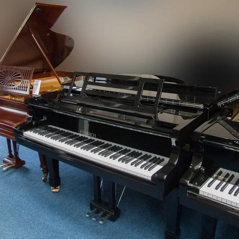 FEURICH Mod.178 DYNAMIC II (USED) - Chi tiết 1