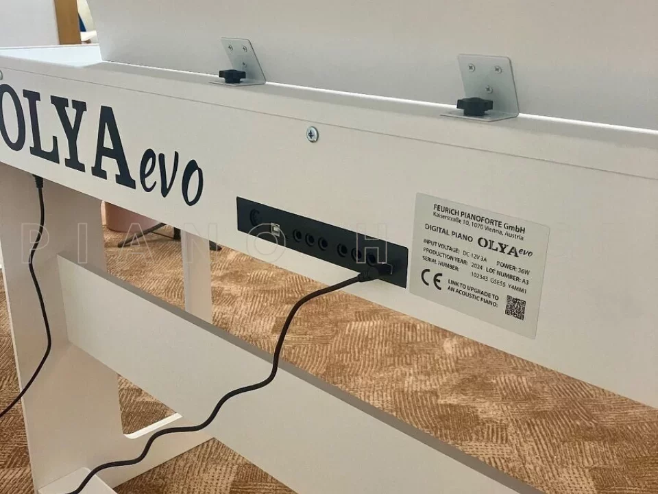 FEURICH OLYA EVO White (Feurich Digital) - Chi tiết 2