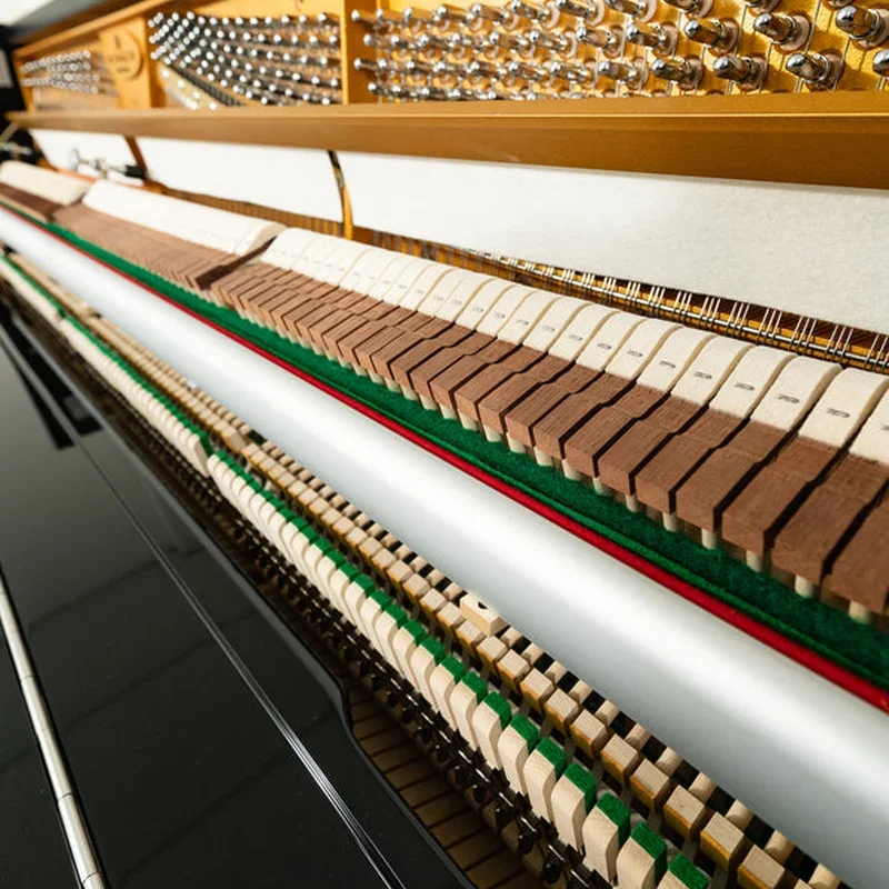 Reviews Fridolin Schimmel F123 Tradition (Ebony High Gloss)