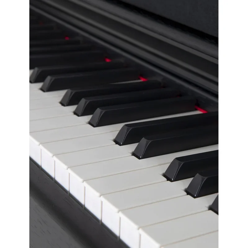 Gewa DP345 - Chi tiết 2