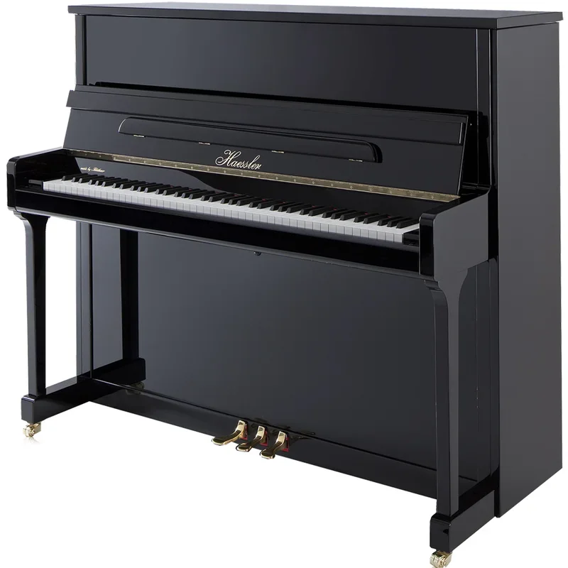 Haessler H132 (Designed by Blüthner) - Chi tiết 2