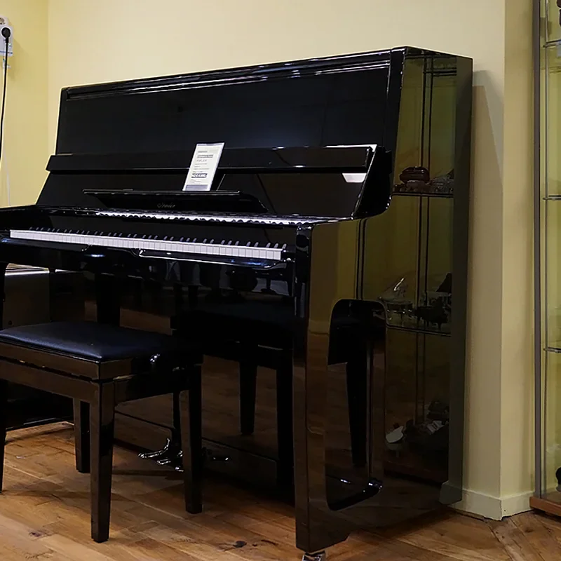 Irmler P122 E (Designed by Blüthner) - Chi tiết 1