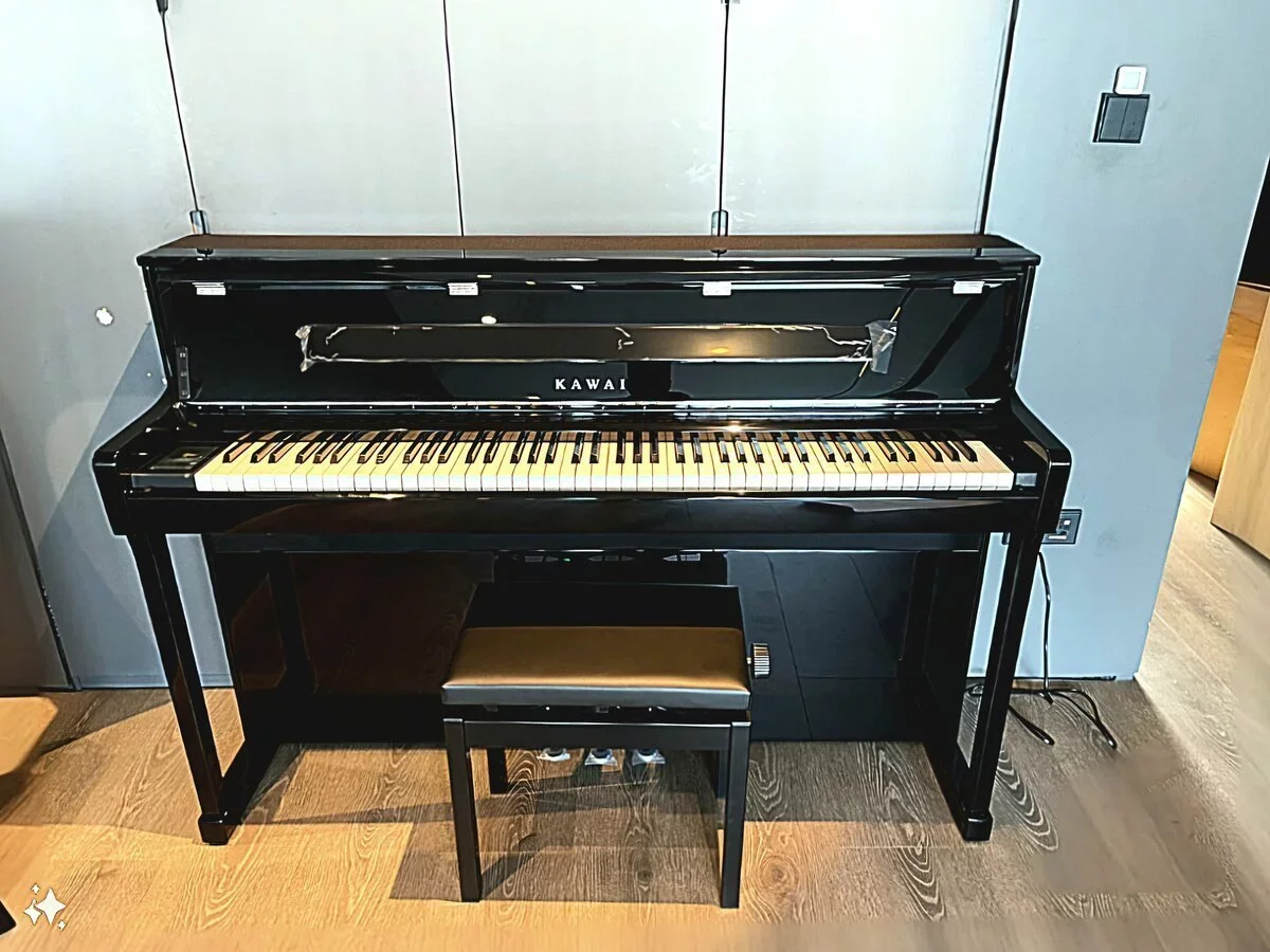 Reviews KAWAI CA901 EP