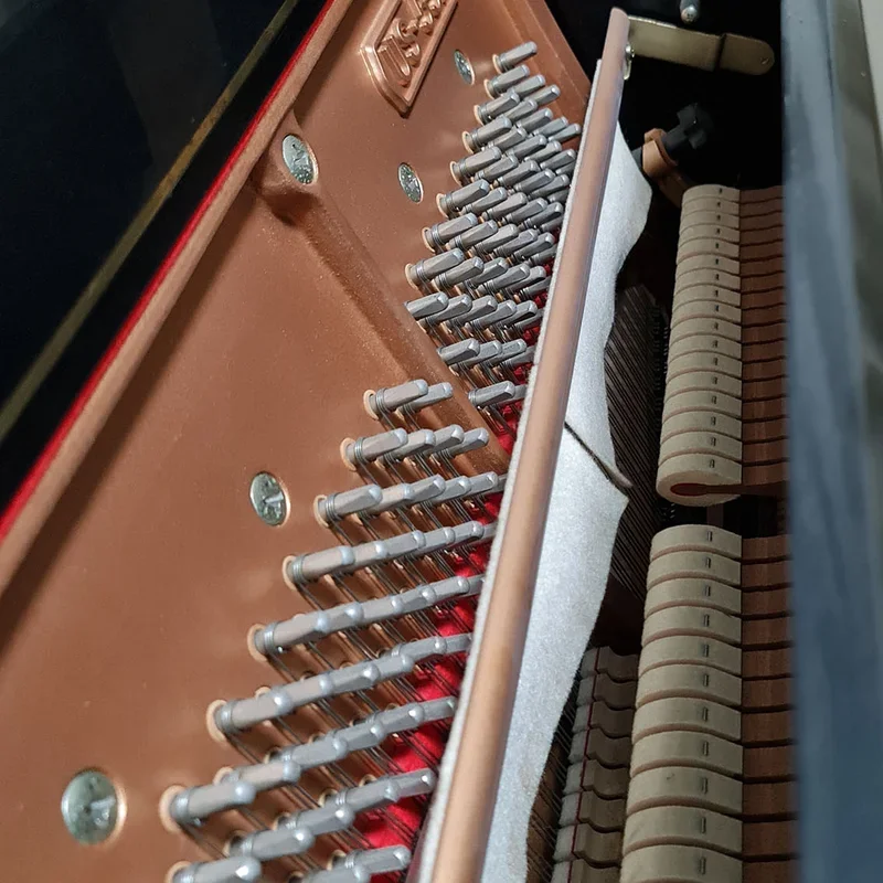 KAWAI DS-55 (Limited Edition) - Chi tiết 1