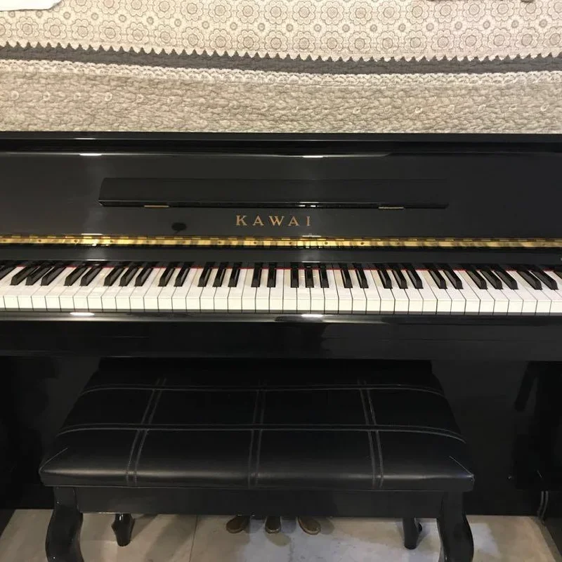 Reviews KAWAI DS-5E