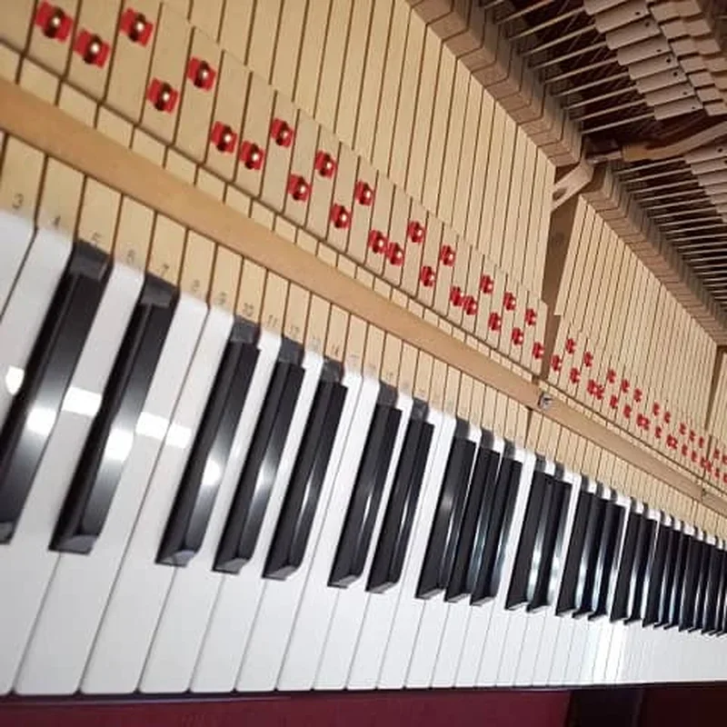 KAWAI DS-80 - Chi tiết 2