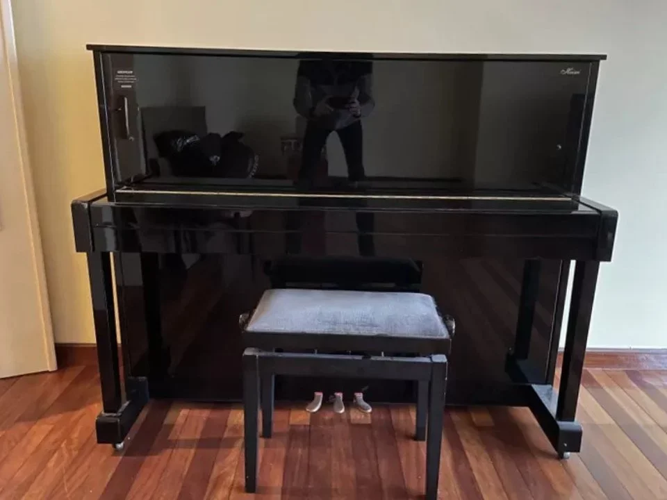 KAWAI HA-20W - Chi tiết 2