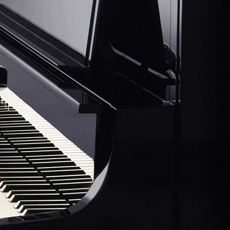 KAWAI K-800 - Chi tiết 2