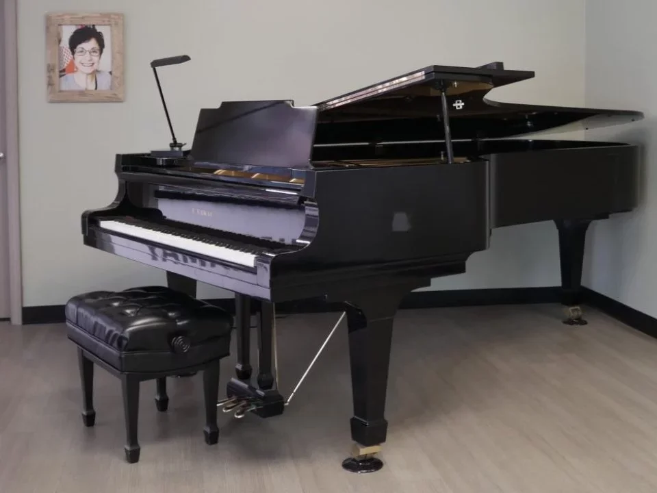 KAWAI KG-8C - Chi tiết 2