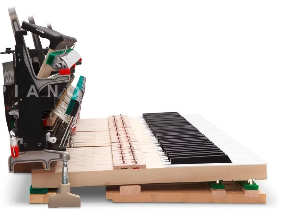 KAWAI Novus NV6 - Chi tiết 2