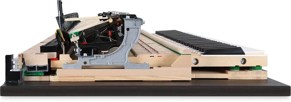 Reviews KAWAI NV10 Hybrid