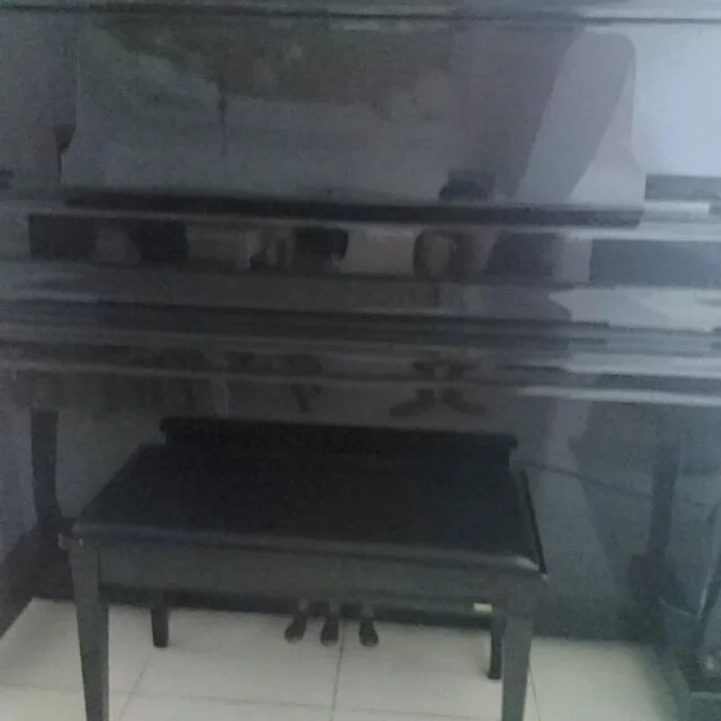 KAWAI SA-8E - Chi tiết 2