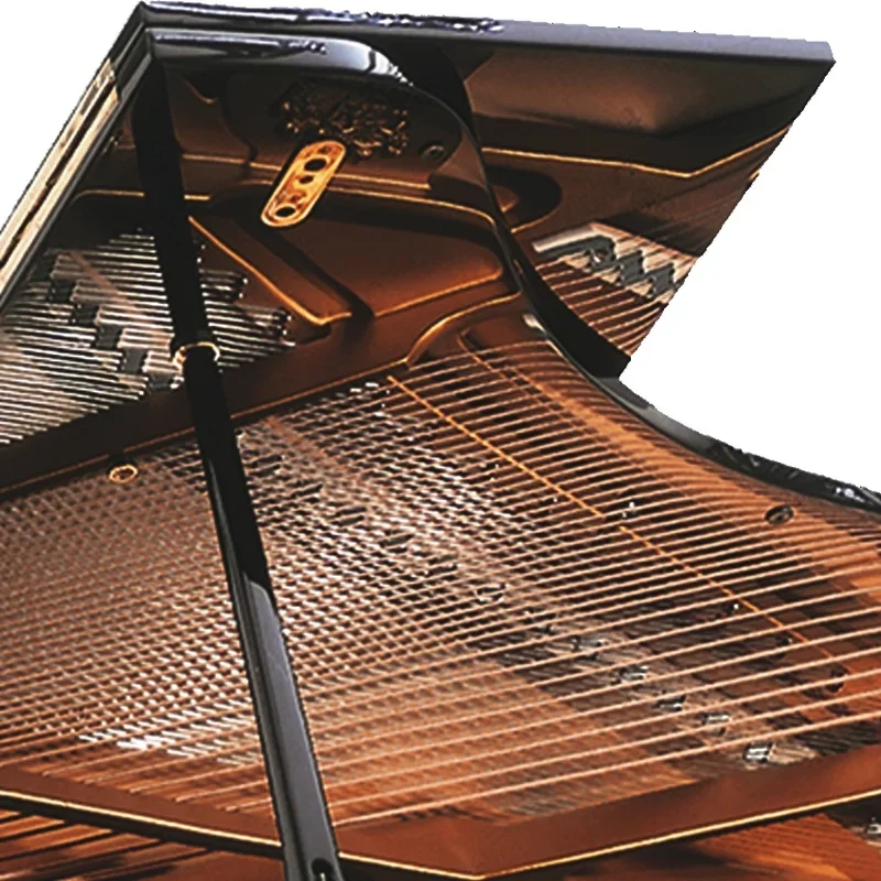 Reviews Konzert K219 Tradition