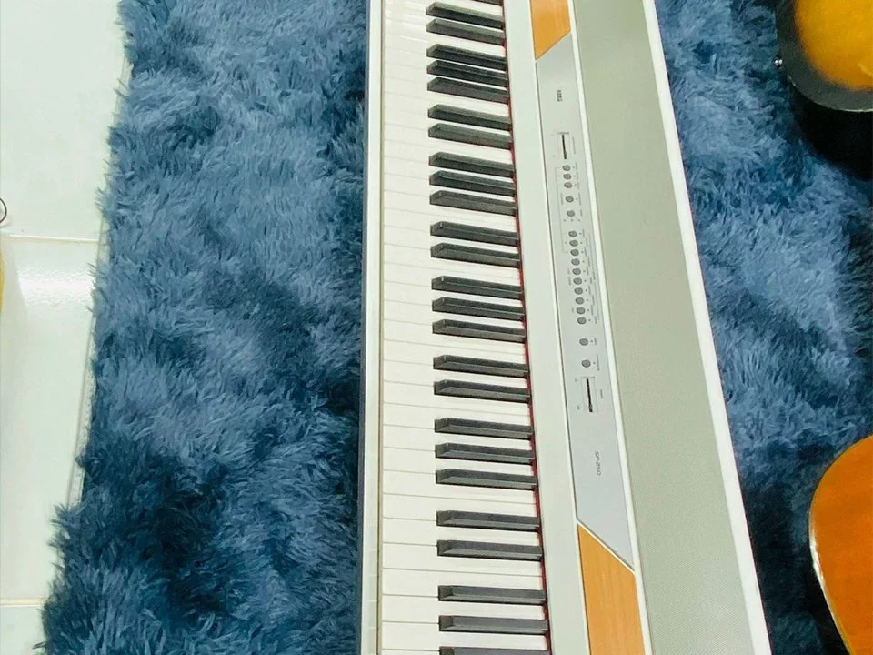 KORG SP-250 - Chi tiết 2