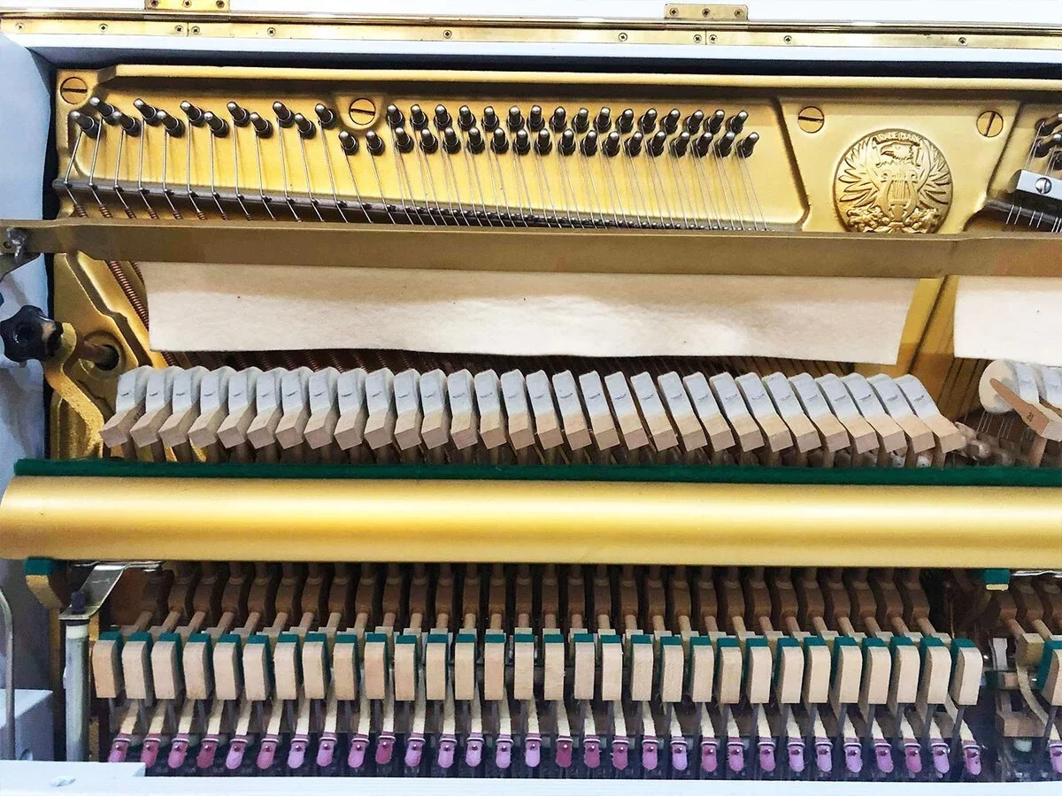 MIKI M1H Wh - Chi tiết 2