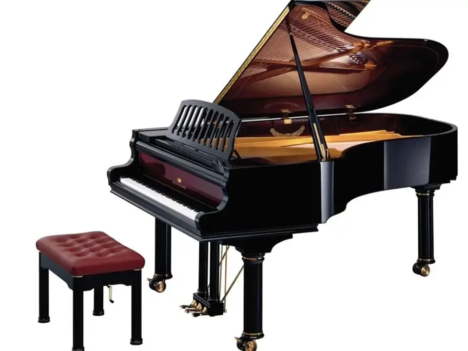 Nikolaus Wilhelm Schimmel Edition - Chi tiết 1