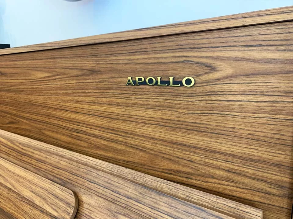 PIANO APOLLO A112 - Chi tiết 1