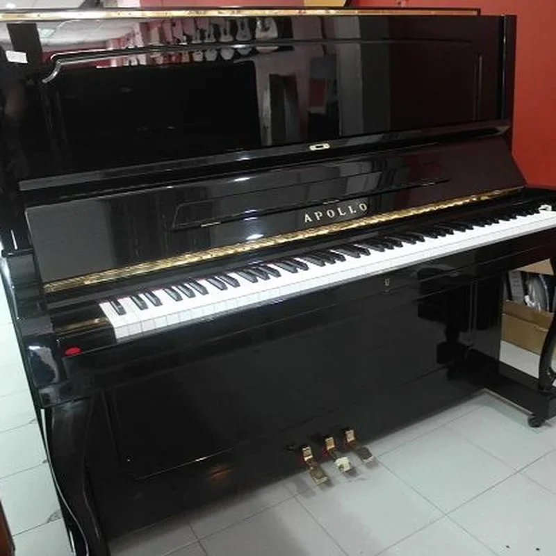 PIANO APOLLO AS300 - Chi tiết 1