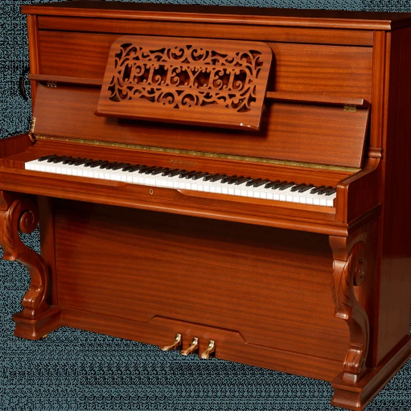 Pleyel P131R-HOMS - Chi tiết 2