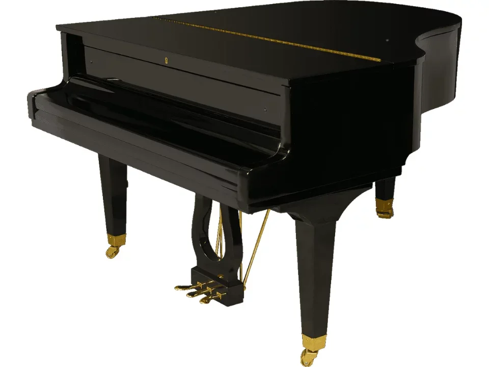 Reviews Pleyel P170-BLK